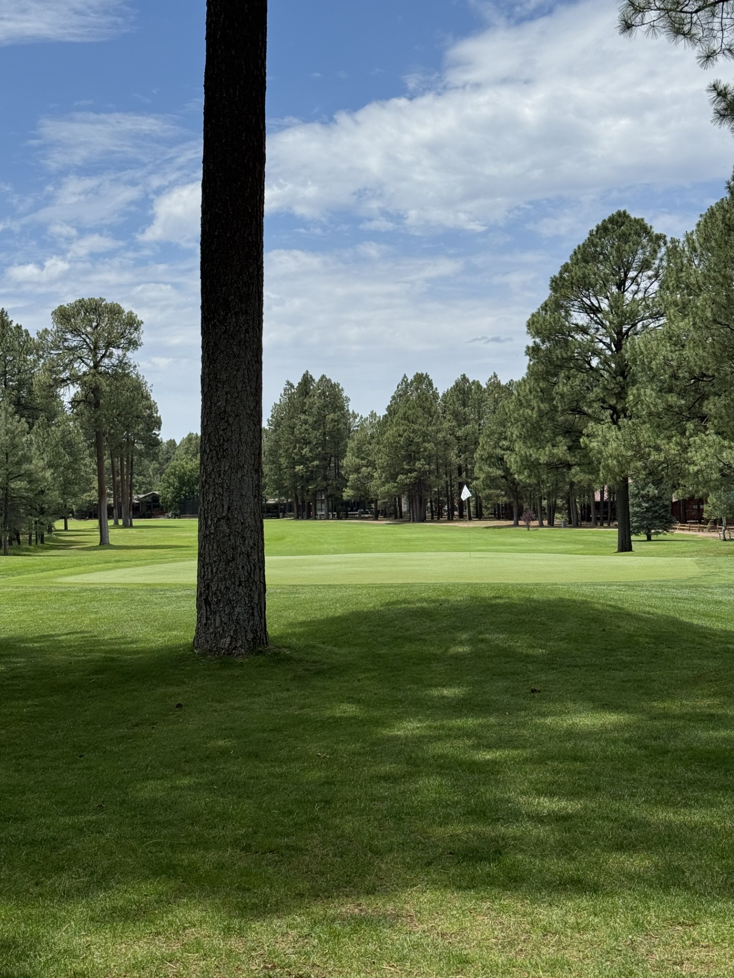 Pinetop Lakes G & Cc logo