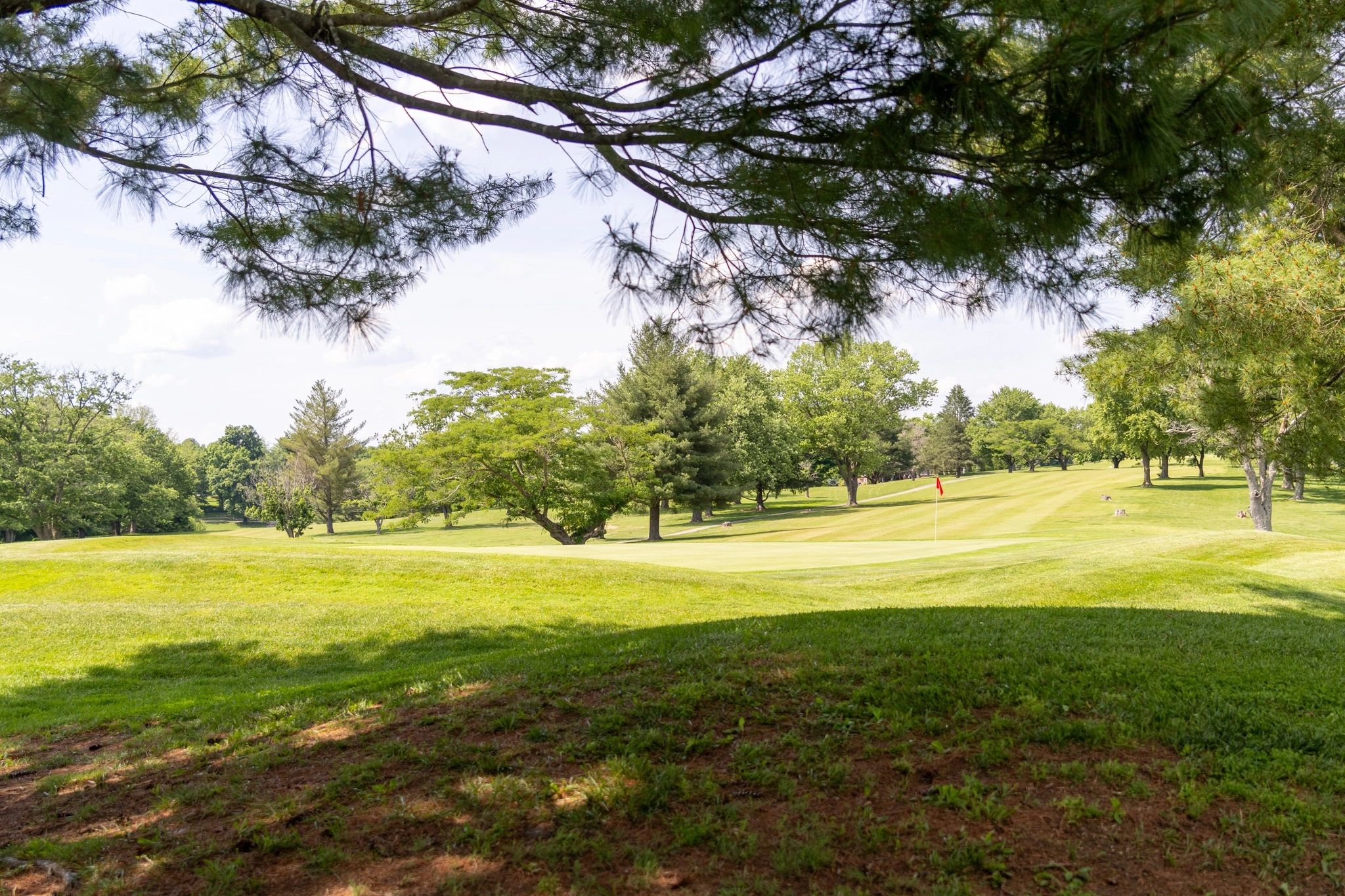 Willow Oaks Golf Club logo